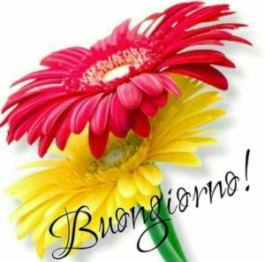 Buongiorno immagini nuove e bellissime