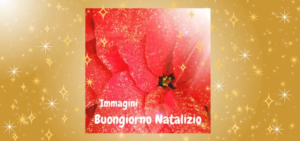 Immagini di Buongiorno Natalizio